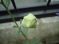 wp0232.jpg
