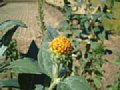 wp0283.jpg